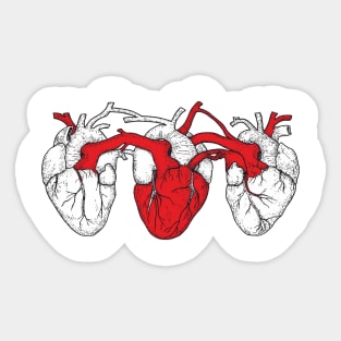 Triple Heart. White Red White Sticker